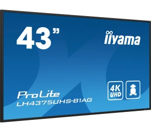 Profesjonalny monitor  iiyama ProLite 43”